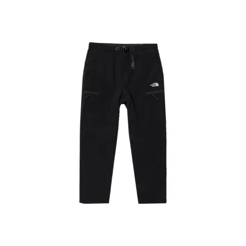 The North Face Мужские флисовые штаны черного цвета