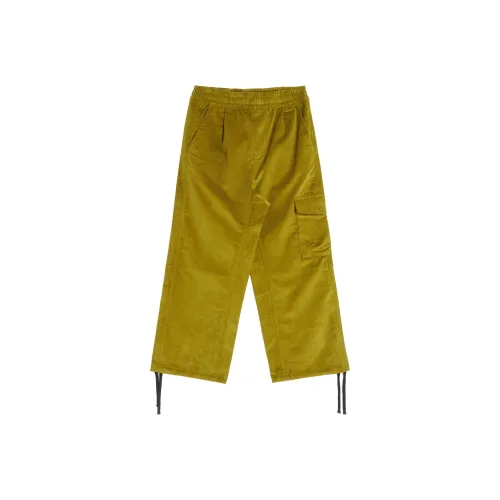 THE NORTH FACE Зеленые Мужские Повседневные Штаны