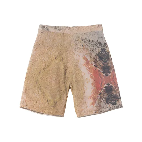 Stussy Коричневые Унисекс Повседневные Шорты