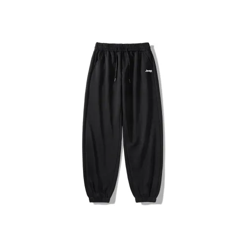 JEEP Мужские Хлопковые Брюки