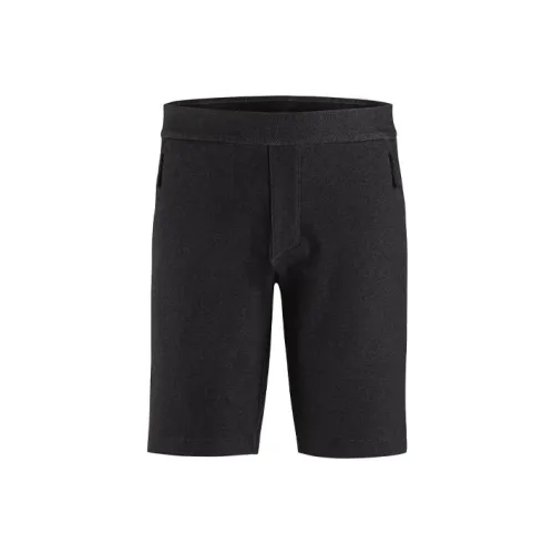 Arcteryx Мужские Повседневные Шорты