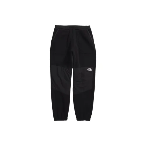 THE NORTH FACE Мужские Ретро DENALI Брюки Повседневные Брюки Мужские Черные