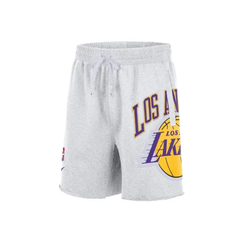 Nike Шорты Lakers Team Мужской Birch Tree