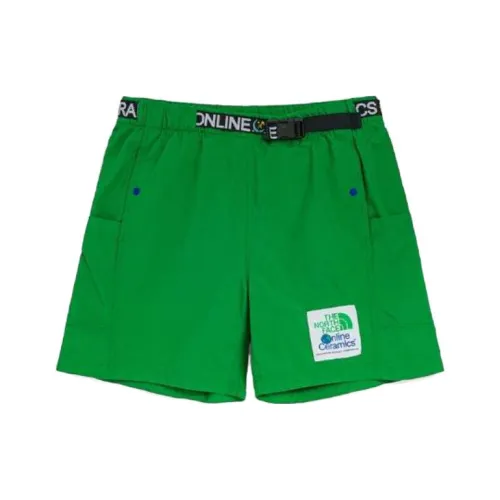 The North Face Online Ceramics Зеленые Мужские Повседневные Шорты
