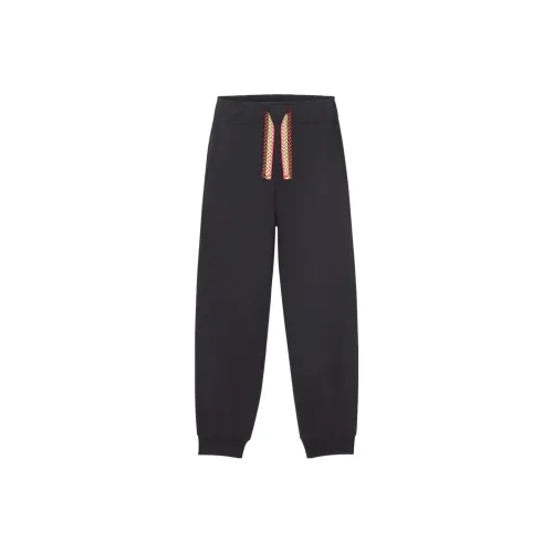 Lanvin Мужские Повседневные Брюки Черные