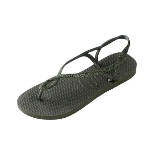 Havaianas Пляжные сандалии Оливково-зеленый Женские
