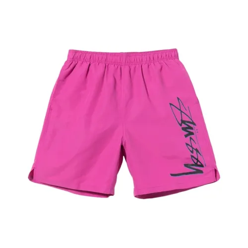 Stussy Унисекс Повседневные шорты