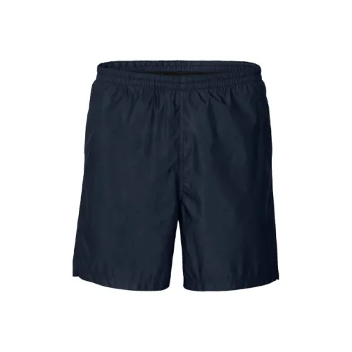 LOUIS VUITTON Повседневные шорты Мужские Темно-синие