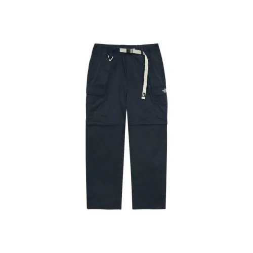 THE NORTH FACE Повседневные брюки Мужские Темно-морской синий