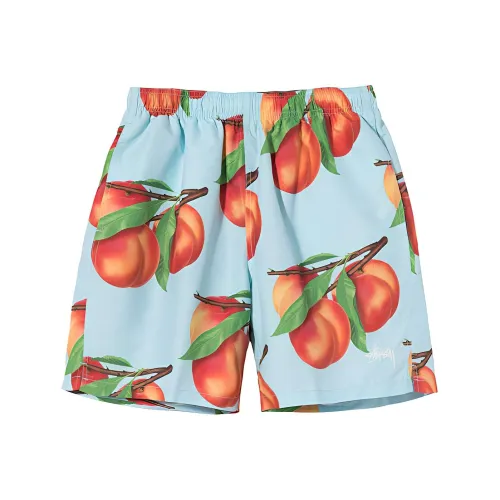 Stussy Blue Men's Casual Shorts Stussy Синий Мужские Повседневные Шорты