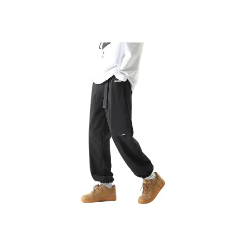 JEEP Мужские Повседневные Брюки