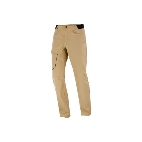 SALOMON WAYFARER Ветрозащитные штаны Мужские Хаки