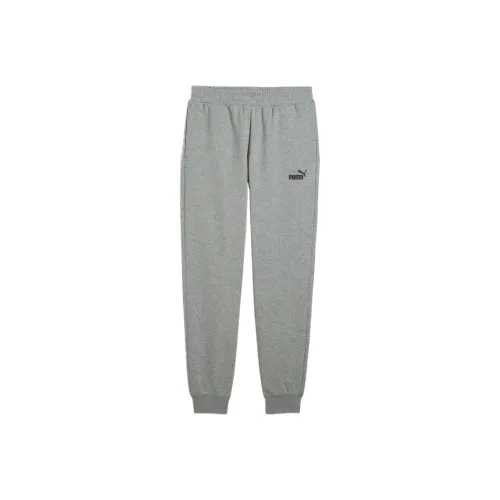 PUMA Серый/03 Мужские Повседневные Штаны