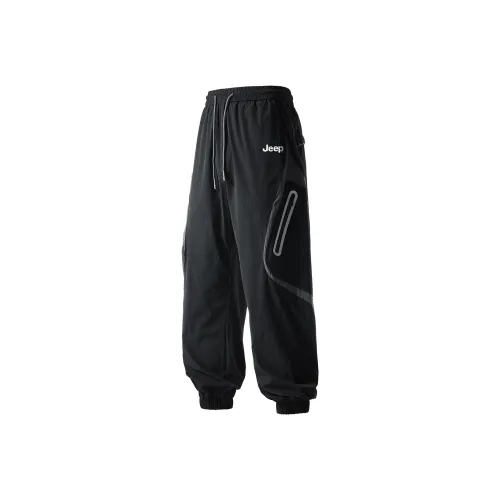 JEEP Pasture Horse Lifestyle Повседневные брюки Унисекс