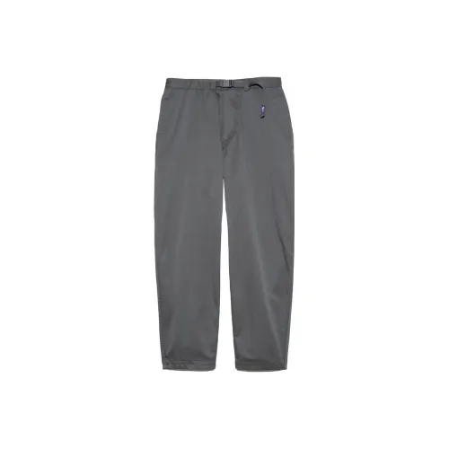 THE NORTH FACE PURPLE LABEL Асфальтовый серый/AH Унисекс Повседневные брюки