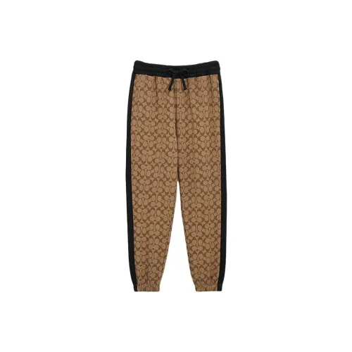 COACH SS24 Повседневные брюки Мужские Хаки