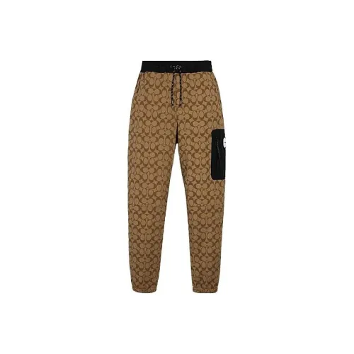 COACH Мужские Повседневные Брюки