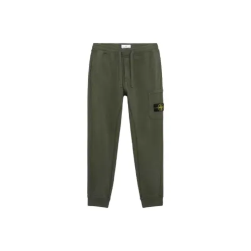 Stone Island Зеленые Мужские Повседневные Брюки