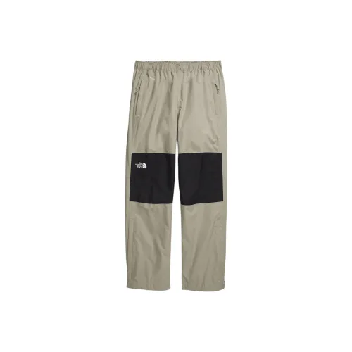THE NORTH FACE Ветрозащитные штаны мужские серые