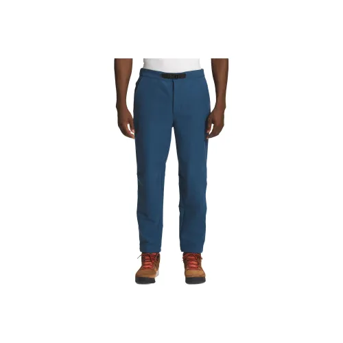 THE NORTH FACE Повседневные брюки Мужские Темно-синий