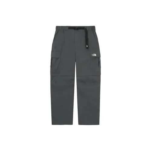 THE NORTH FACE Карго брюки мужские серые