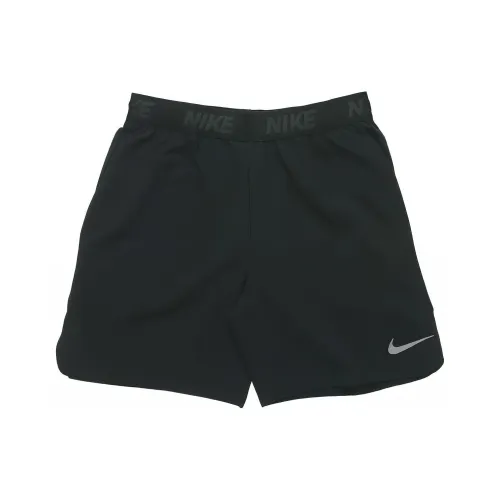 Nike Мужские Повседневные Шорты