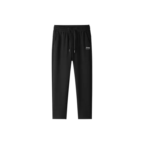 JEEP SPIRIT Мужские Повседневные Брюки