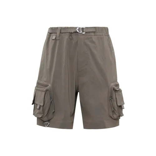 Nike ACG Рудный Серый Мужские Карго Шорты