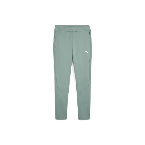 PUMA EVOSTRIPEDRYCELL Повседневные брюки Мужские Зеленые 30