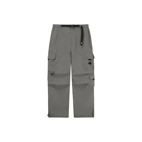 THE NORTH FACE Карго брюки мужские серые