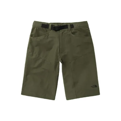The North Face Зеленые Мужские Повседневные Шорты