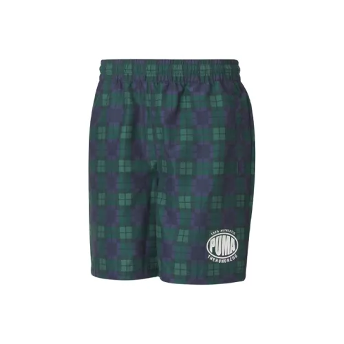 PUMA Зеленые Мужские Повседневные Шорты
