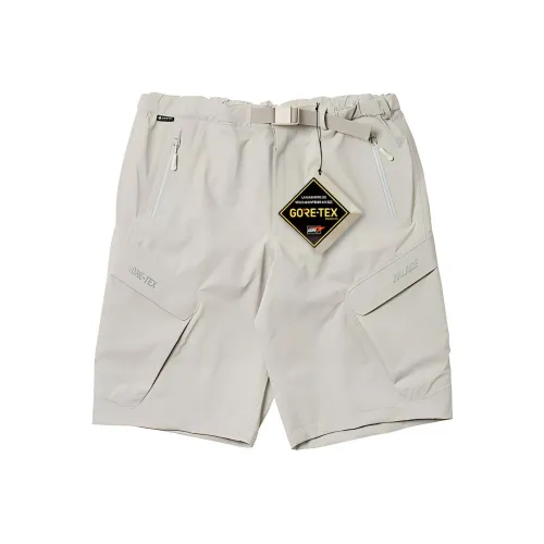 Дворцовый каменный цвет унисекс шорты карго