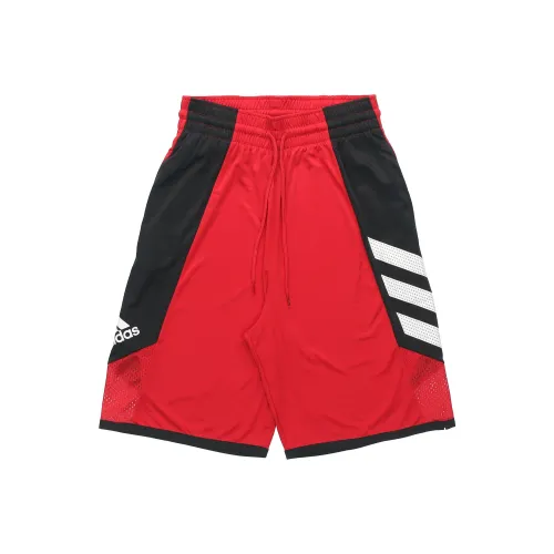 Adidas Red Men's Casual Shorts Adidas Красные Мужские Повседневные Шорты