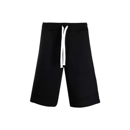 Ermenegildo Zegna Черные Мужские Повседневные Шорты