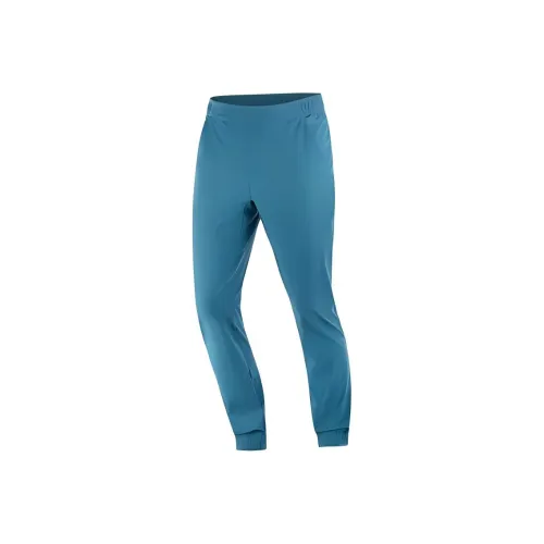 SALOMON WAYFARER EASE Повседневные брюки Мужской Deep Dive Цвет