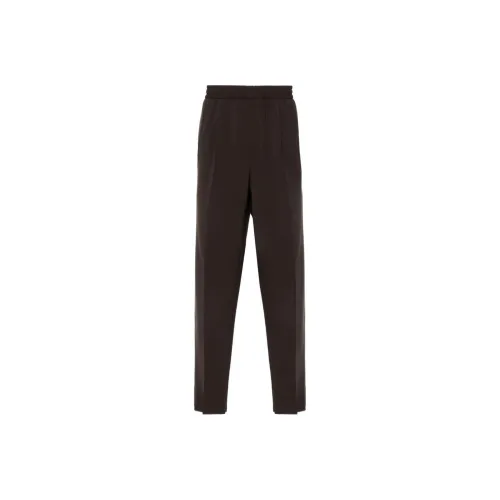 Ermenegildo Zegna Кофе Мужские Повседневные Брюки