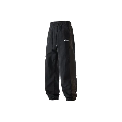 JEEP Pasture Horse Lifestyle Повседневные брюки Унисекс