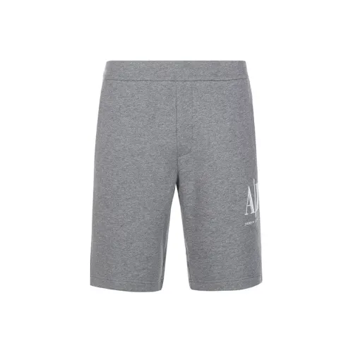 ARMANI EXCHANGE Серые Мужские Повседневные Шорты