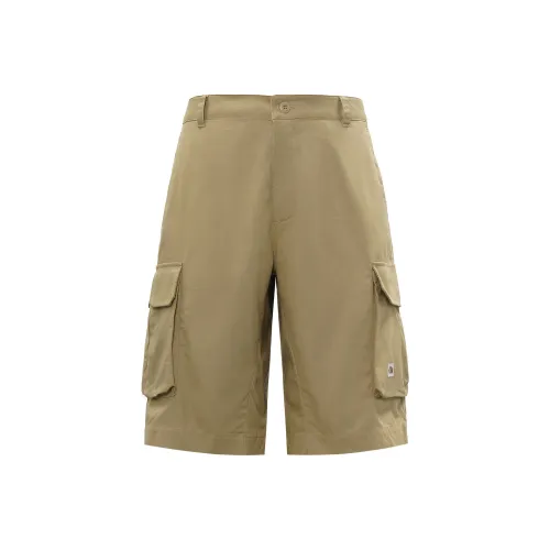 THE NORTH FACE Повседневные шорты Мужские Хаки