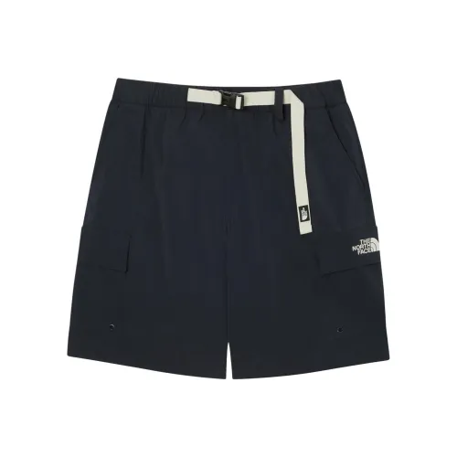 THE NORTH FACE Ice Gear Loft Shorts Повседневные шорты Мужские Marine Blue