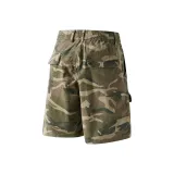 Верблюжий цвет