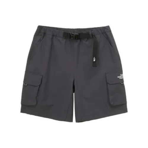 The North Face Серые Унисекс Шорты Карго