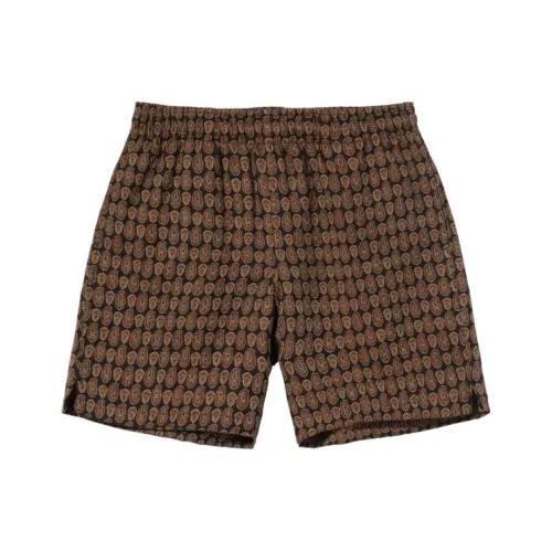 Stussy Многоцветные Унисекс Повседневные Шорты