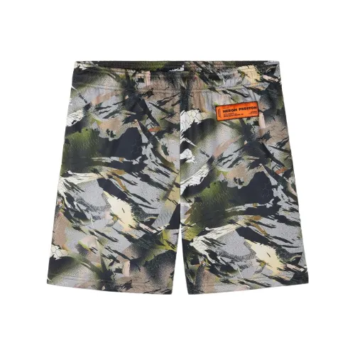 HERON PRESTON Камуфляж Мужские Повседневные Шорты