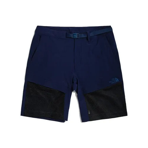The North Face Blue Men's Casual Shorts The North Face Синие Мужские Повседневные Шорты