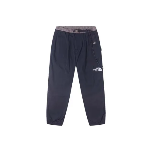 THE NORTH FACE Повседневные брюки Мужские Синие
