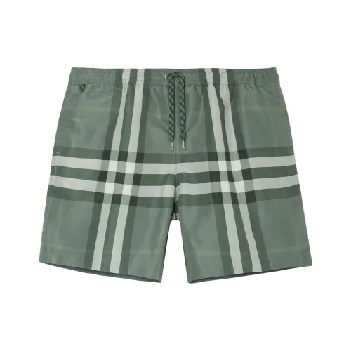 Burberry SS22 Повседневные шорты Мужские Серый Зеленый
