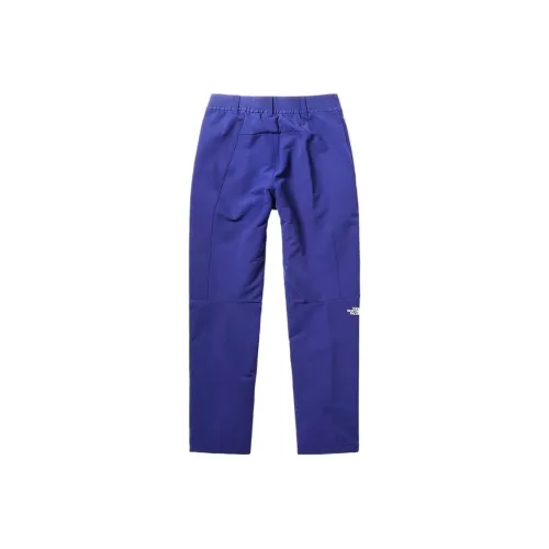 THE NORTH FACE MTheNorthFace Повседневные брюки Мужские Синие