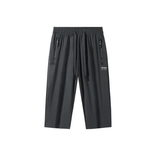 JEEP SPIRIT Мужские Повседневные Брюки
